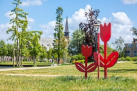 Singelpark met tulpen